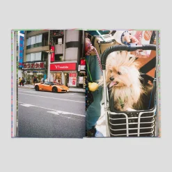 Dreams by Imogen Wilson