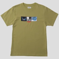 Hoddle Specimen Tee - Pistachio Green
