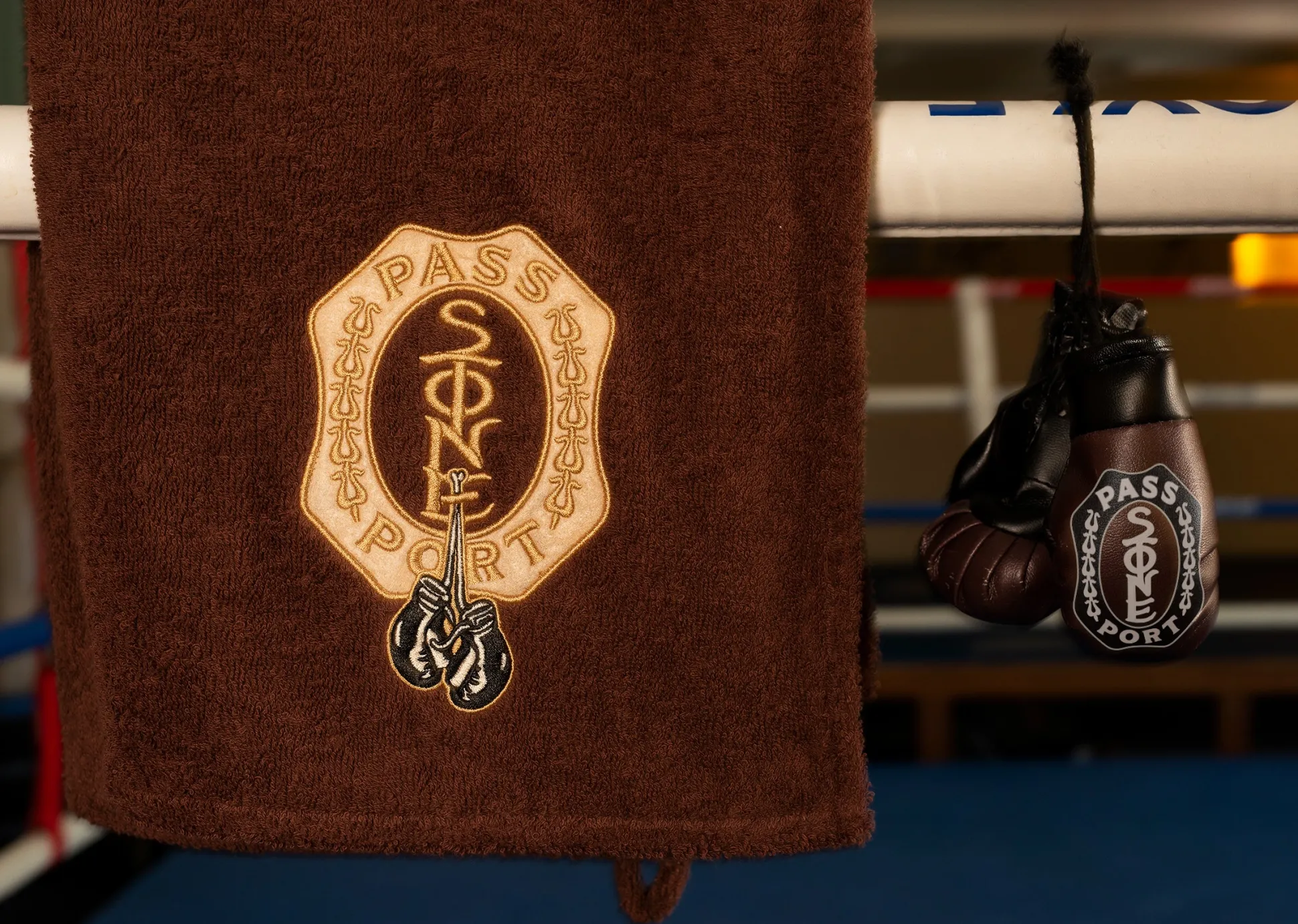 Pass~Port & Anthony "Stone" Mapstone Souvenir Boxing Gloves