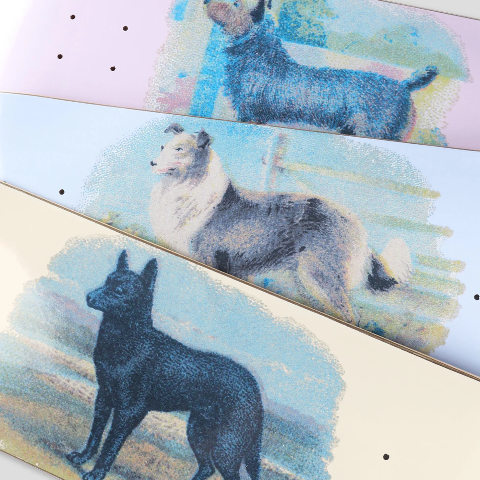 Pass~Port Hybrid Vigour Series - Kelpie