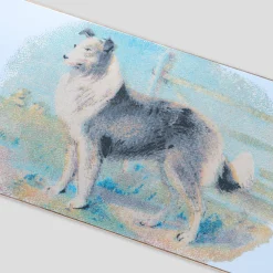 Pass~Port Hybrid Vigour Series - Collie