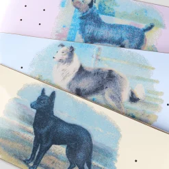 Pass~Port Hybrid Vigour Series - Collie