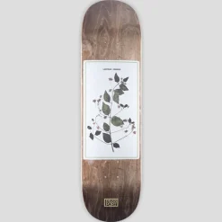 Pass~Port Invasive Species Series - Lantana