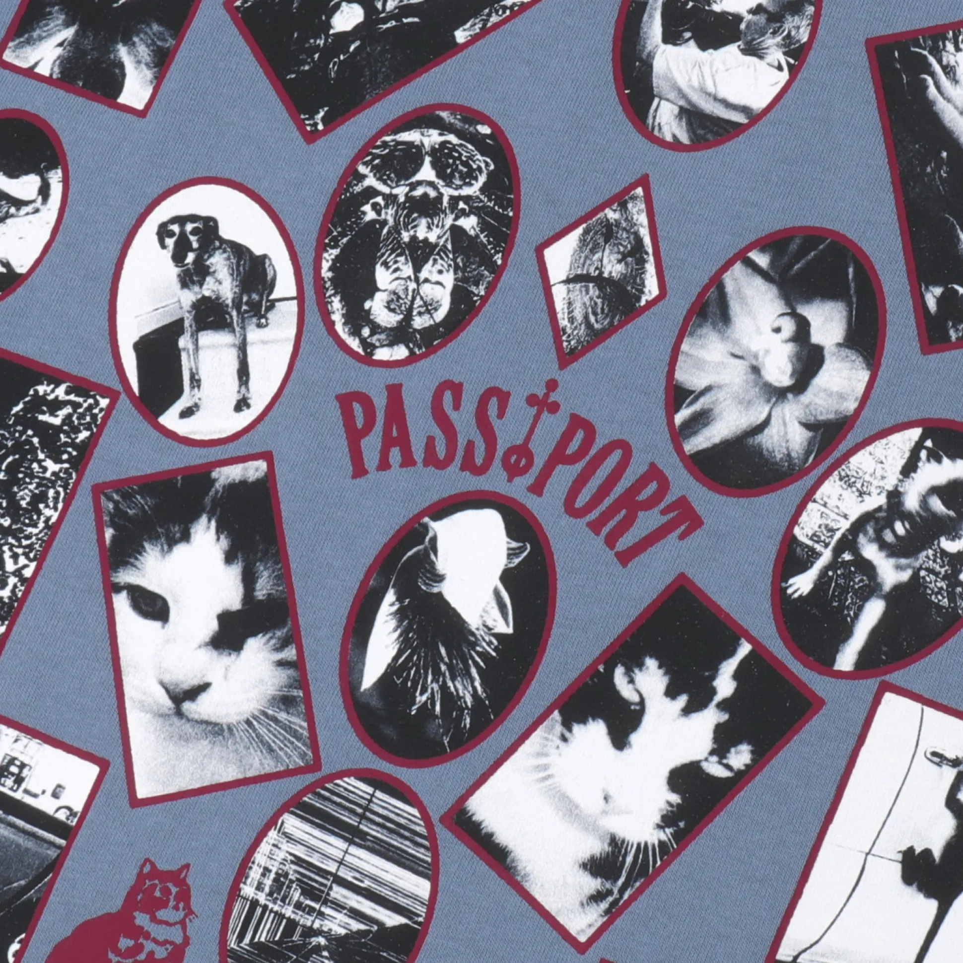 Pass~Port Sophomore Tee - Washed Out Blue