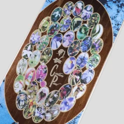 Pass~Port Yearbook Series - Callum Paul