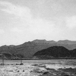 Rabbit Hole by James Edson