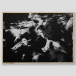 Dougal Gorman - 13. “King Gizzard & The Lizzard Wizzard” 2019 Roundhou