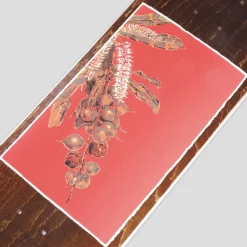 Pass~Port Native Fruit Series - Maca