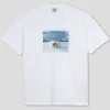 Polar Skate Co. 'Dead Flowers' T-Shirt - White